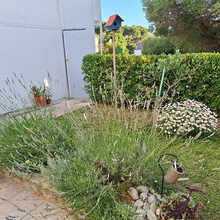 Little House Kucica Villa Banjol Exterior foto